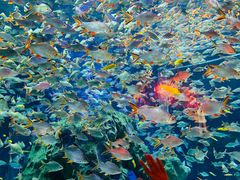 -成都浩海立方海洋公园