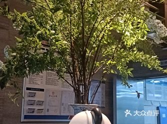 被评为黑珍珠一钻米其林推荐餐厅，并受到广泛好评