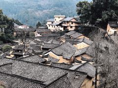 -杨家堂村