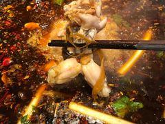 -费明中罗非鱼(大石坝店)
