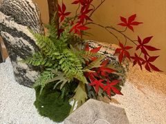 -有茶空间(万科金色半山店)