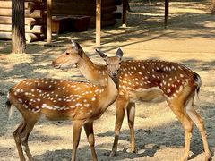 -南戴河国际娱乐中心