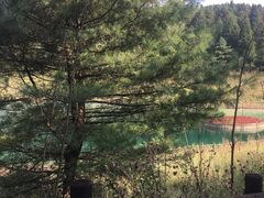 -武陵山森林公园