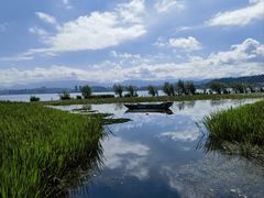 -洱海月湿地公园
