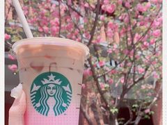 -星巴克臻选(思南公馆店)