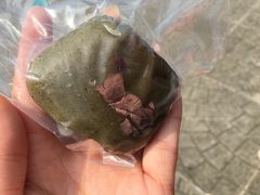 -阿兰草仔粿
