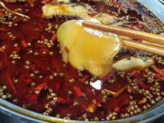 鱼火锅-小门坎三合鱼(总店)