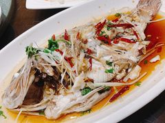 -浩家苑菜馆(汉口路店)