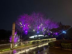 -西安汉城湖景区