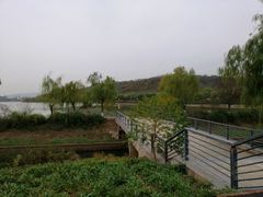 -羊山湖公园