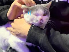 -极木²邸 人与宠物·互动社区