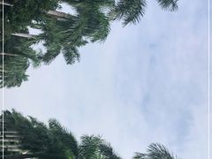 -万绿园