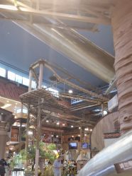 -卡通尼·Safari非洲探索乐园·生日会(金桥国际商业广场店)