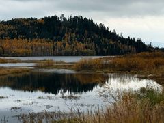 -五营红松林海景区