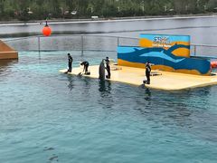 -秦皇岛乐岛海洋王国