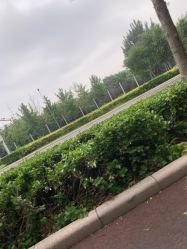 -HEYAN长风荷妍专业脱毛美肤
