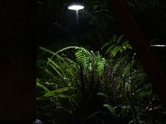 -腾冲洞山温泉村