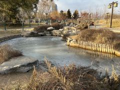 -西海子公园
