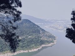 -铁山坪森林公园