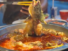 -蜀滋香鲜鱼美蛙火锅(339店)