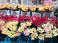 -盒马X会员店(上海森兰商都店)