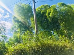 -泽雅七瀑涧景区