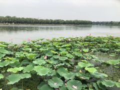 -素心小筑(后沙裕镇店)