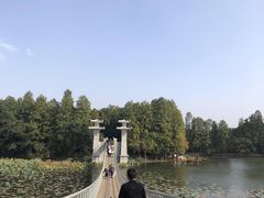 -东湖落雁景区