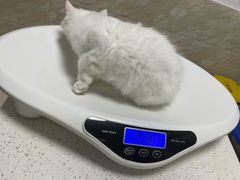 -阿荣24H宠物医院·综合型转诊中心·CT·核磁影像中心