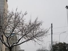 -留芳·文旅古月楼(老街店)