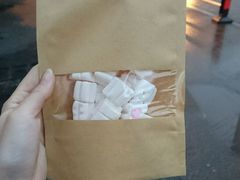 -志龙皇冠吃货椰子铺