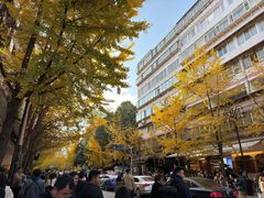 -红豆园(文林街店)