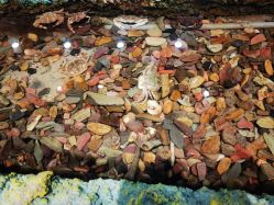 -钓虾工场·钓虾·赶海(回龙观店)