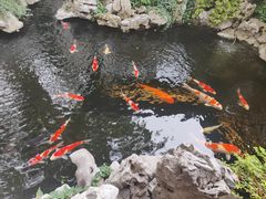 -鲤院·新中式美学·庭院餐厅(夫子庙店)