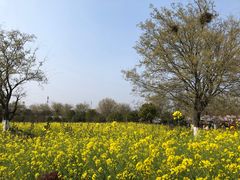 -武汉紫薇都市田园