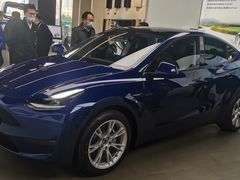 -TESLA 特斯拉(郑州正弘城体验店)