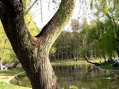 -上海共青森林公园