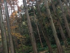 -宋宴(虎跑店)