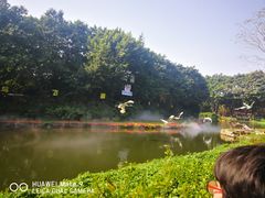 -广州长隆飞鸟乐园