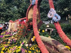 -杭州植物园