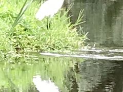 -共青国家森林公园-南大门停车场