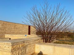 -盘龙城国家考古遗址公园