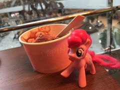 -1868 Café(上海自然博物馆店)