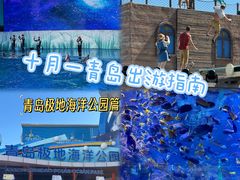 -海合安青岛极地海洋公园