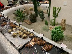 -OUR Bakery(SKP-S店)