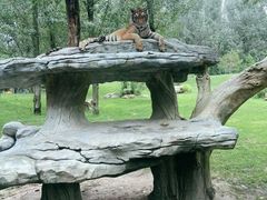 -北京野生动物园