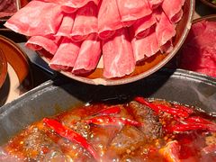 -阳阳老火锅(小南门店)