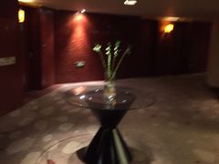 -成都凯宾斯基饭店