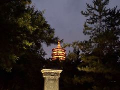 -西湖游船