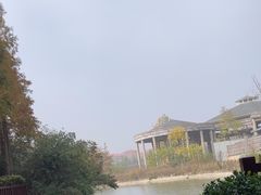 -芭东小镇温泉
